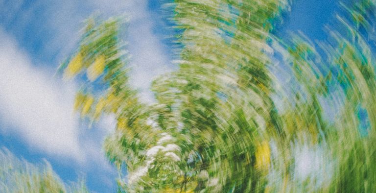 Sunlit tree canopy spun into motion against a blue sky