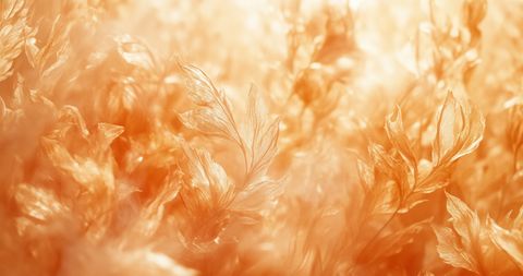 A laptop screen showing the WordPress dashboard interface in a clean, well-lit workspace.