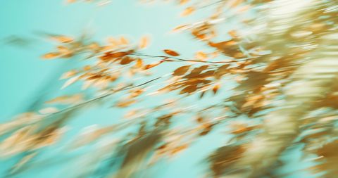 An abstract, artistic blur of green grass in soft natural light, creating a calm and organic backdrop