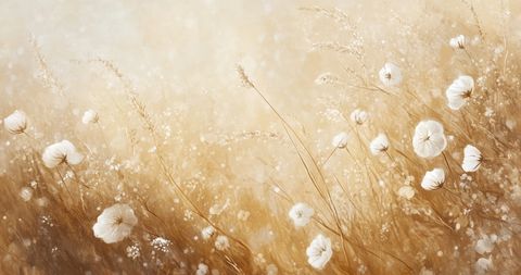 A soft field of organic textures—grains, threads, and petals—layered in warm neutrals with a memory-like haze, evoking softness and care