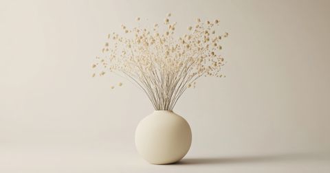 A round, minimalist white vase holding a bundle of delicate, dried flowers with thin stems, set against a neutral beige background.